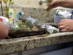 O terrário é um sistema artificial